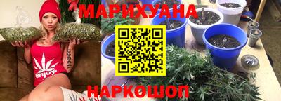 шишки Изобильный