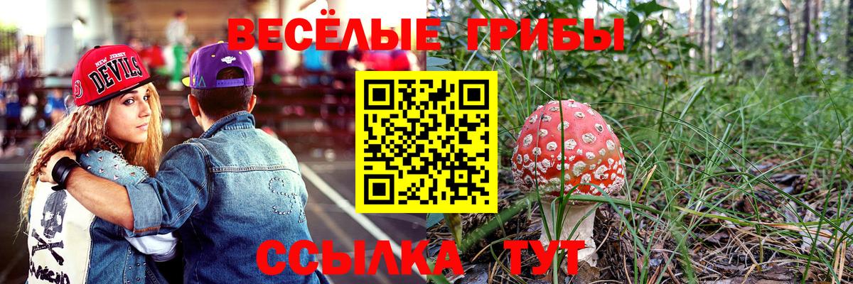 Галлюциногенные грибы ЛСД  Вход с VPN  Нижневартовск 